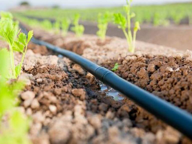 لوله آبیاری قطره ای دریپردار